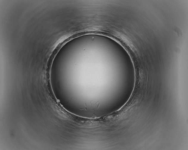 X0000112401308200908141330