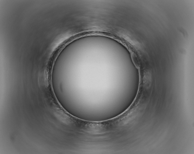 X0000112401310200908141330