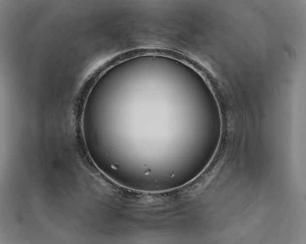 X0000112401311200908141330