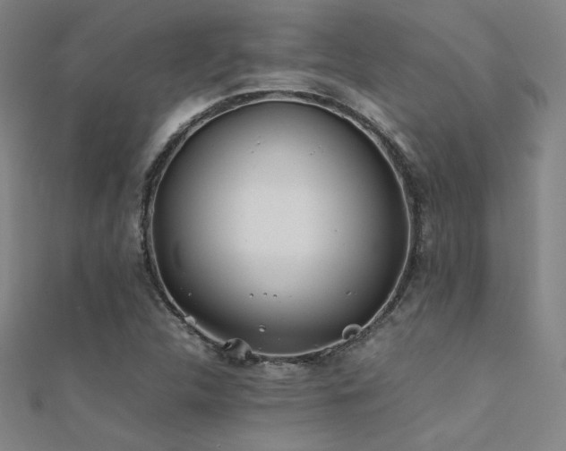 X0000112401312200908141330