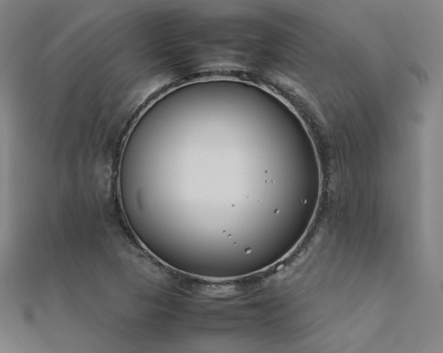 X0000112401313200908141330