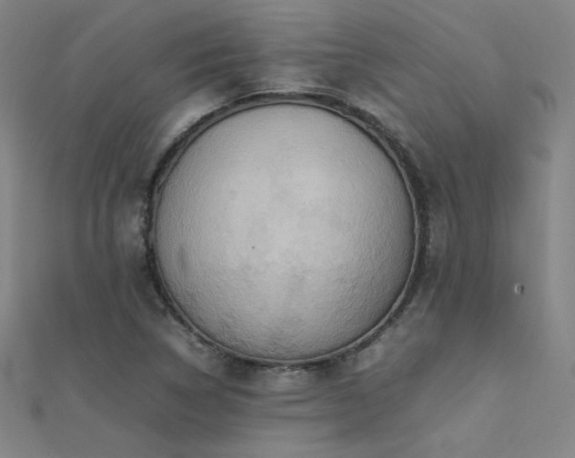 X0000112401314200908141330