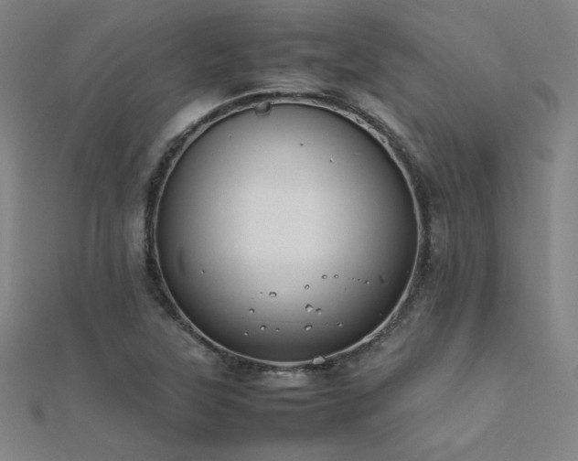X0000112401315200908141330