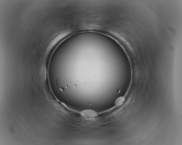 X0000112401317200908141330
