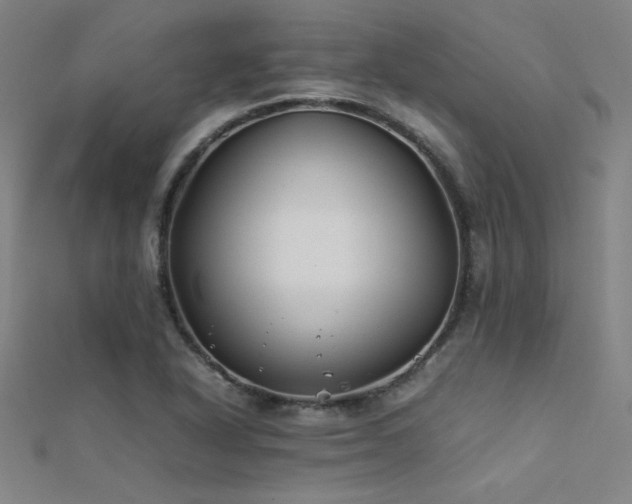 X0000112401318200908141330