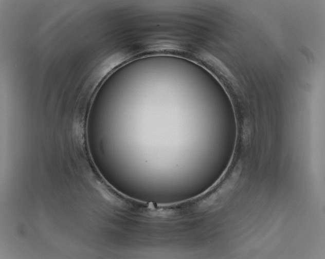 X0000112401321200908141330