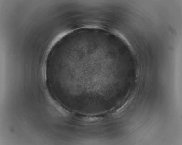 X0000112401323200908141330