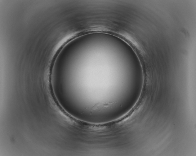 X0000112401325200908141330