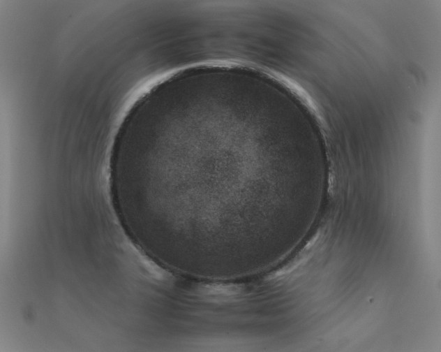 X0000112401327200908141330