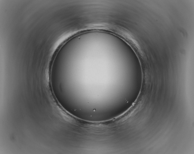 X0000112401328200908141330