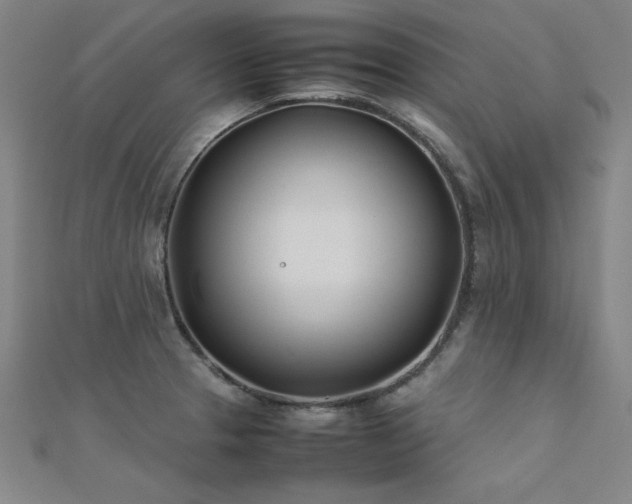 X0000112401329200908141331