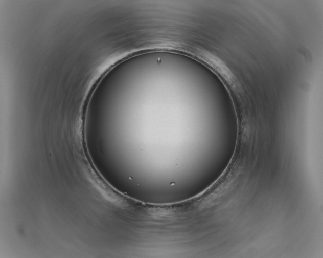 X0000112401332200908141331