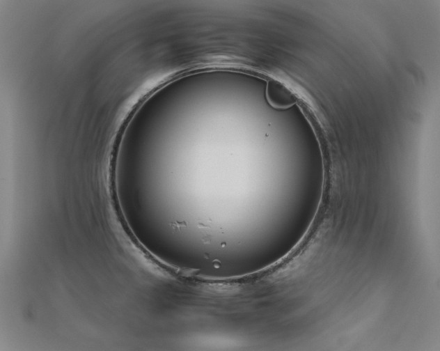 X0000112401333200908141331