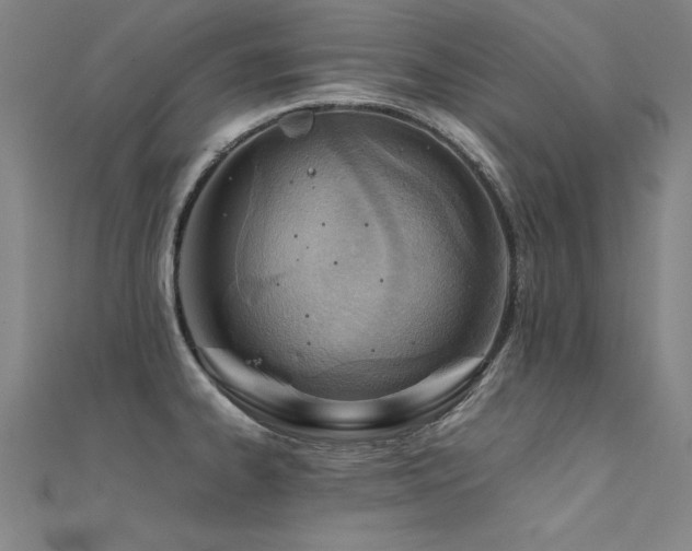 X0000112401334200908141331