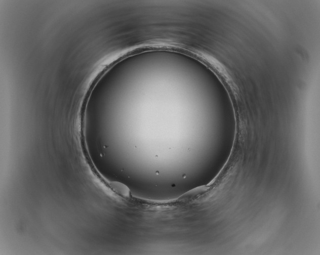 X0000112401335200908141331