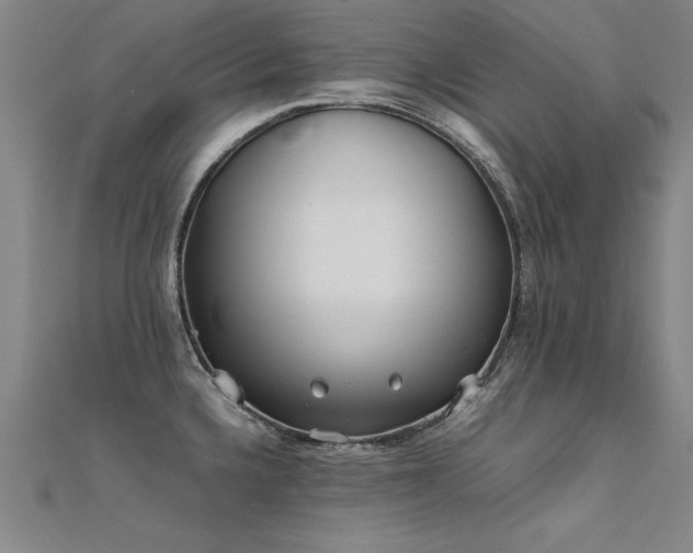 X0000112401336200908141331