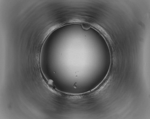 X0000112401337200908141331