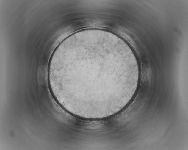 X0000112401338200908141331