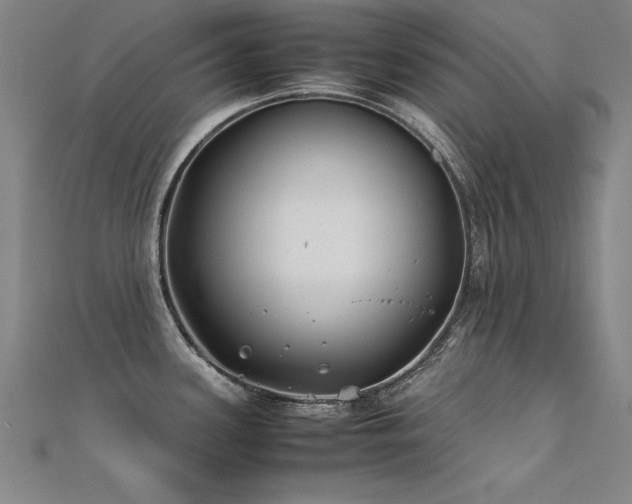X0000112401339200908141331
