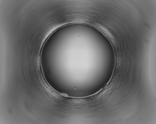 X0000112401340200908141331