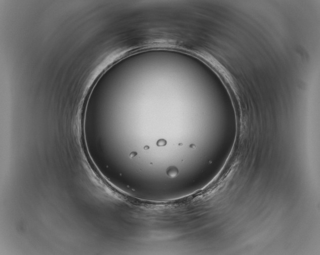 X0000112401341200908141331