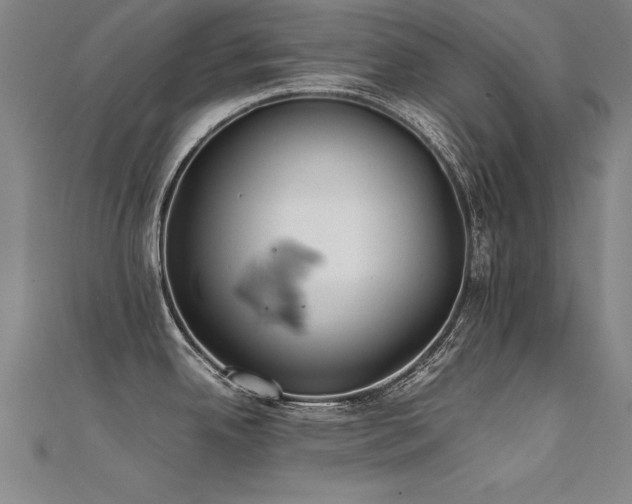 X0000112401342200908141331