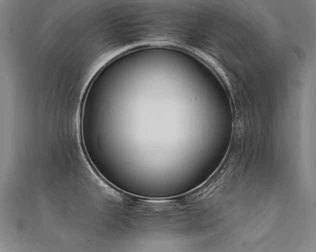X0000112401343200908141331