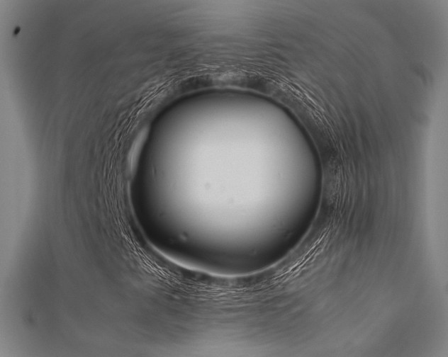 X0000112401345200908141330