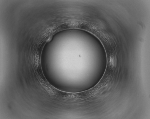 X0000112401348200908141330