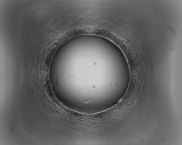 X0000112401349200908141330