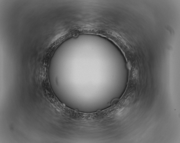 X0000112401350200908141330