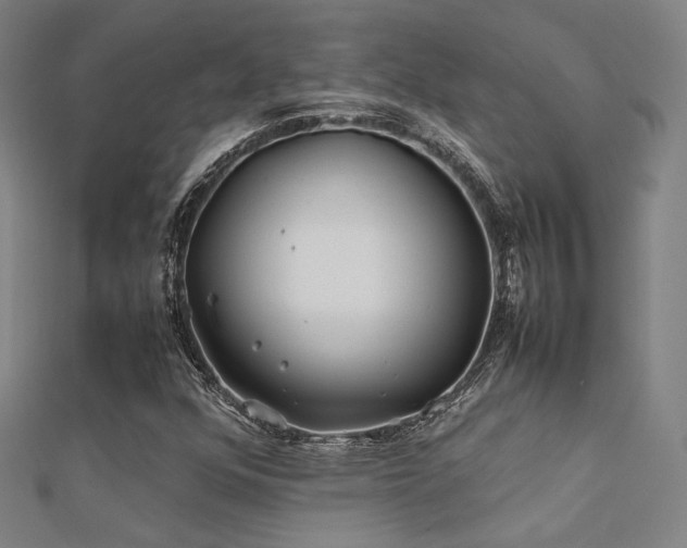 X0000112401352200908141330