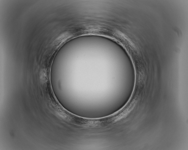 X0000112401353200908141330