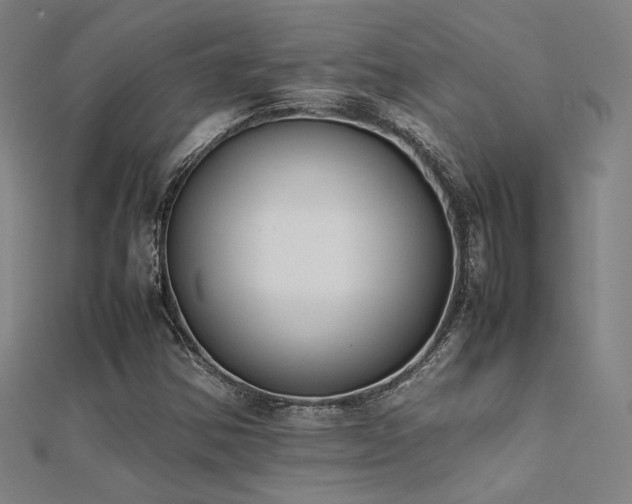 X0000112401354200908141330