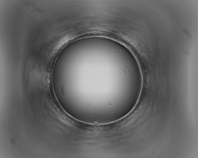 X0000112401355200908141330