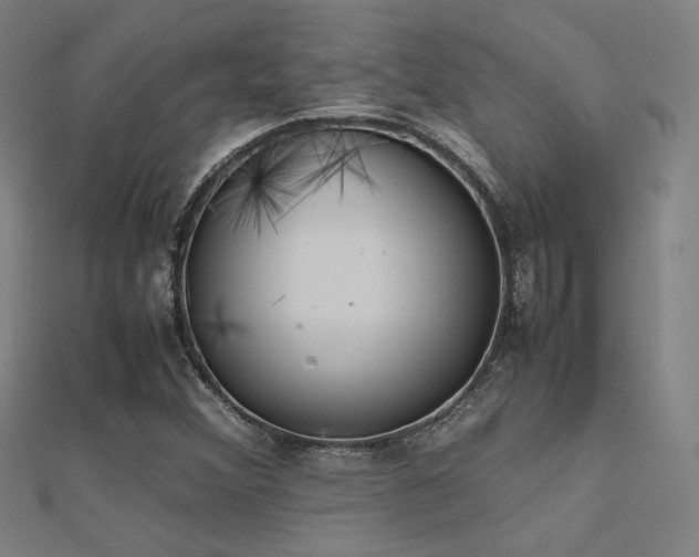 X0000112401356200908141330