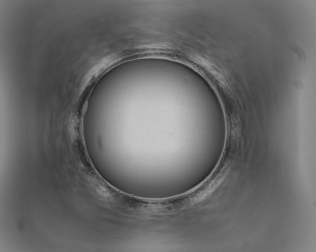 X0000112401357200908141330