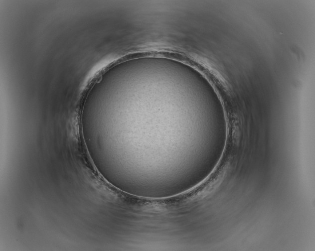 X0000112401358200908141330
