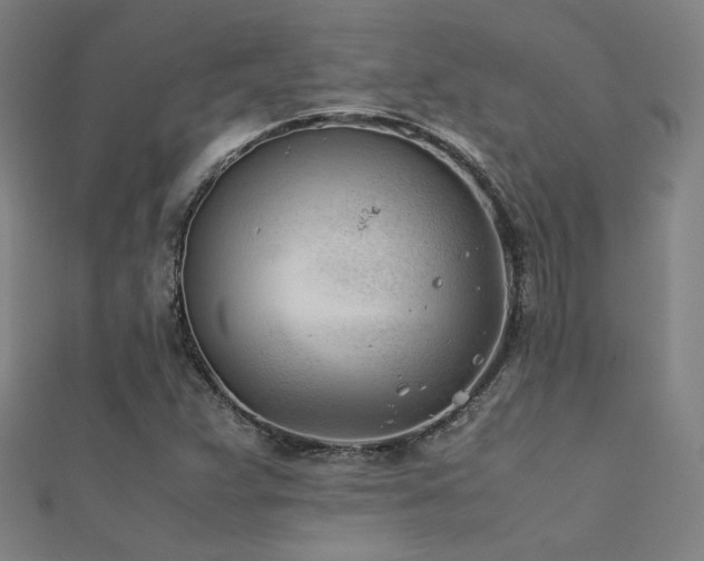 X0000112401359200908141330