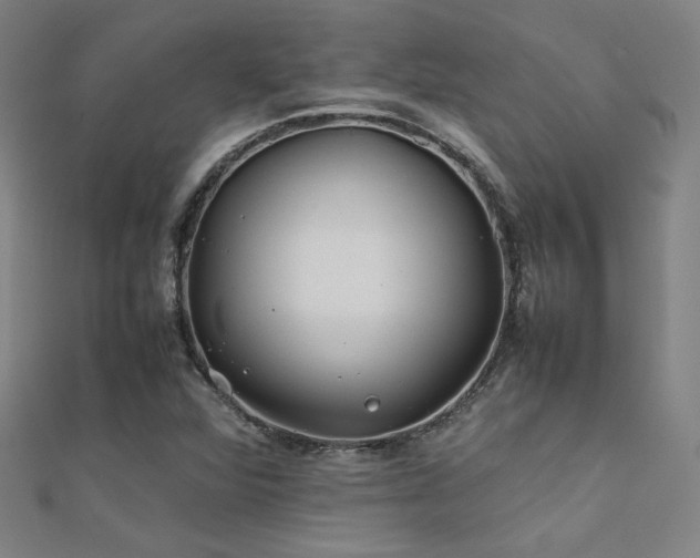 X0000112401360200908141330