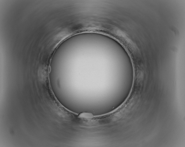 X0000112401361200908141330