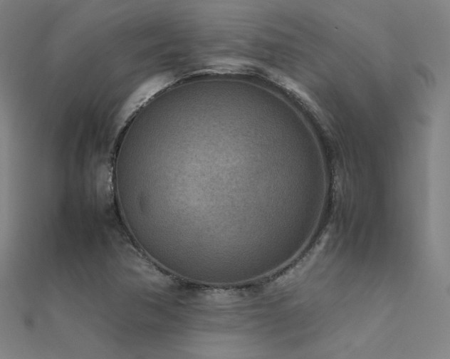 X0000112401362200908141330