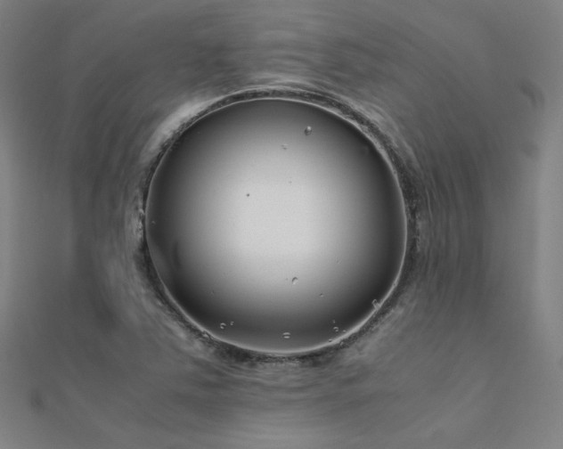 X0000112401363200908141330