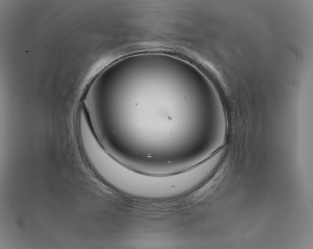 X0000112401365200908141330