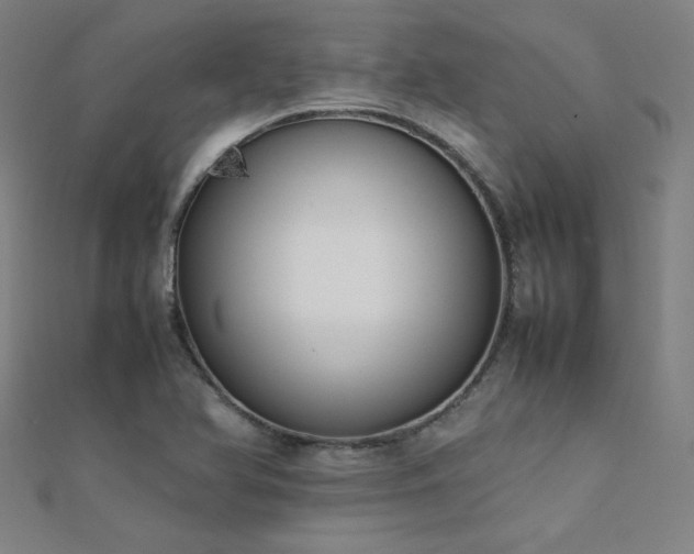 X0000112401366200908141330