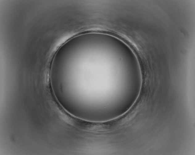 X0000112401367200908141330