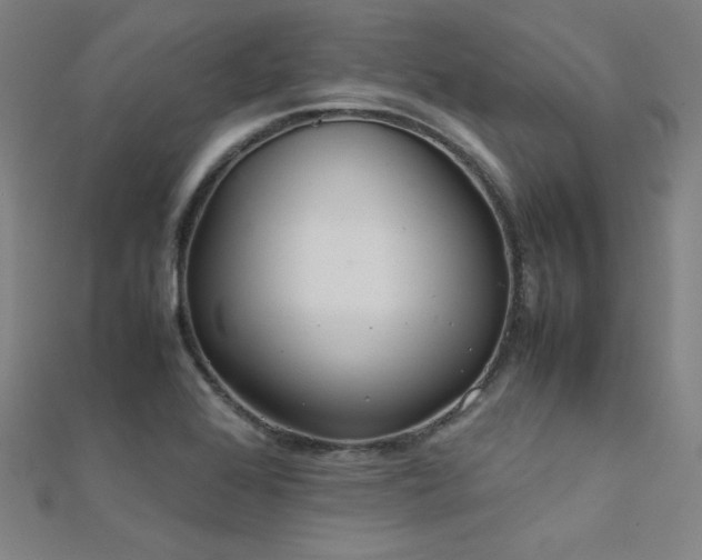 X0000112401368200908141330