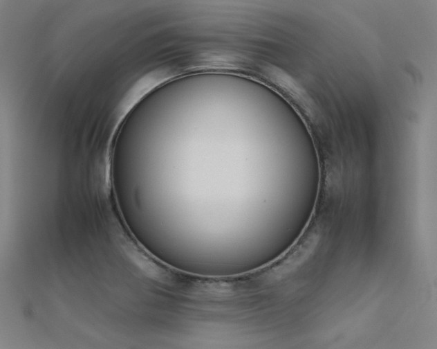 X0000112401370200908141330