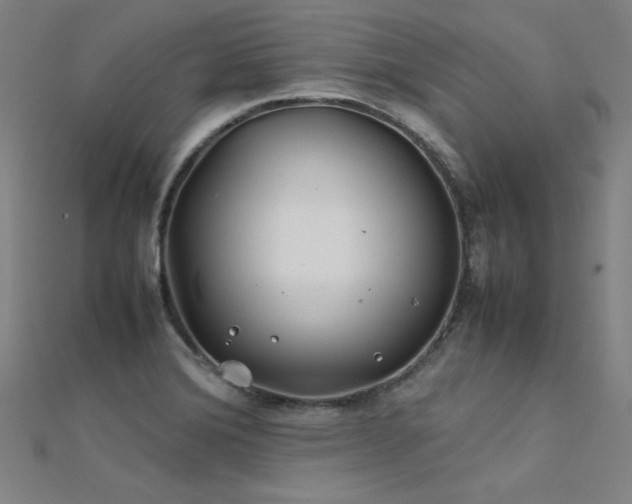 X0000112401372200908141330
