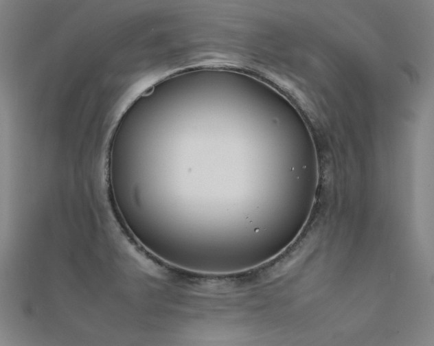 X0000112401375200908141330
